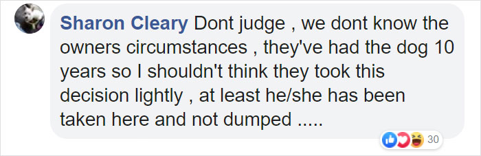 "I Haven't Learnt To Be Good": People Find An Abandoned Elderly Labrador With A Note "I Haven't Learnt To Be Good": People Find An Abandoned Elderly Labrador With A Note