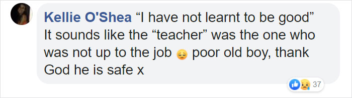 "I Haven't Learnt To Be Good": People Find An Abandoned Elderly Labrador With A Note