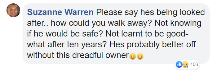 "I Haven't Learnt To Be Good": People Find An Abandoned Elderly Labrador With A Note "I Haven't Learnt To Be Good": People Find An Abandoned Elderly Labrador With A Note