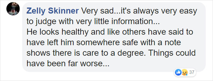 "I Haven't Learnt To Be Good": People Find An Abandoned Elderly Labrador With A Note "I Haven't Learnt To Be Good": People Find An Abandoned Elderly Labrador With A Note