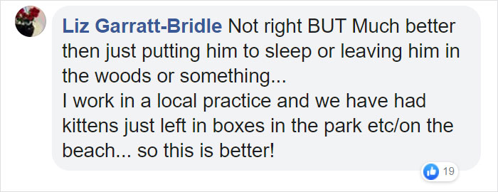 "I Haven't Learnt To Be Good": People Find An Abandoned Elderly Labrador With A Note