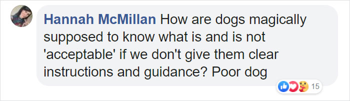 "I Haven't Learnt To Be Good": People Find An Abandoned Elderly Labrador With A Note "I Haven't Learnt To Be Good": People Find An Abandoned Elderly Labrador With A Note