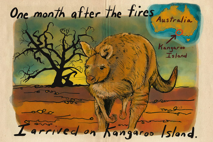 Artist Tells A Heart-Wrenching Story Of The '19-20 Australian Bushfires In 12 Sad But True Sketches Artist Tells A Heart-Wrenching Story Of The '19-20 Australian Bushfires In 12 Sad But True Sketches