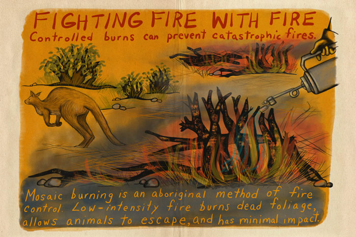 Artist Tells A Heart-Wrenching Story Of The '19-20 Australian Bushfires In 12 Sad But True Sketches Artist Tells A Heart-Wrenching Story Of The '19-20 Australian Bushfires In 12 Sad But True Sketches