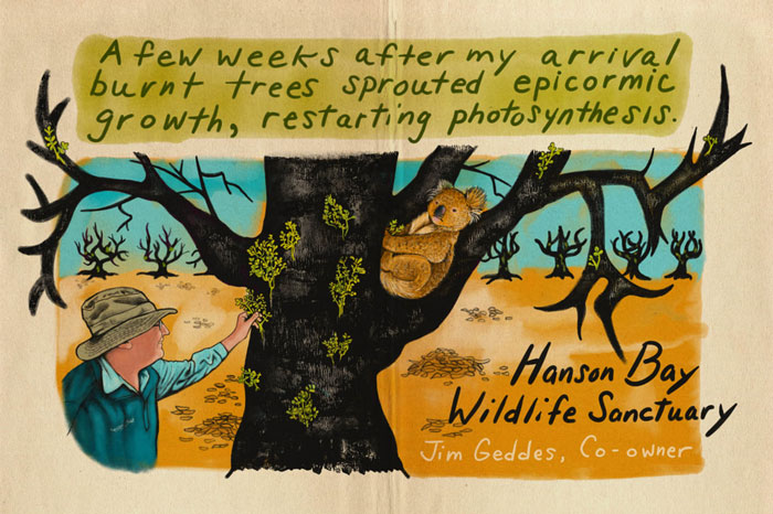 Artist Tells A Heart-Wrenching Story Of The '19-20 Australian Bushfires In 12 Sad But True Sketches Artist Tells A Heart-Wrenching Story Of The '19-20 Australian Bushfires In 12 Sad But True Sketches