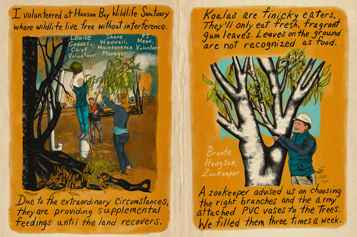 Artist Tells A Heart-Wrenching Story Of The '19-20 Australian Bushfires In 12 Sad But True Sketches Artist Tells A Heart-Wrenching Story Of The '19-20 Australian Bushfires In 12 Sad But True Sketches