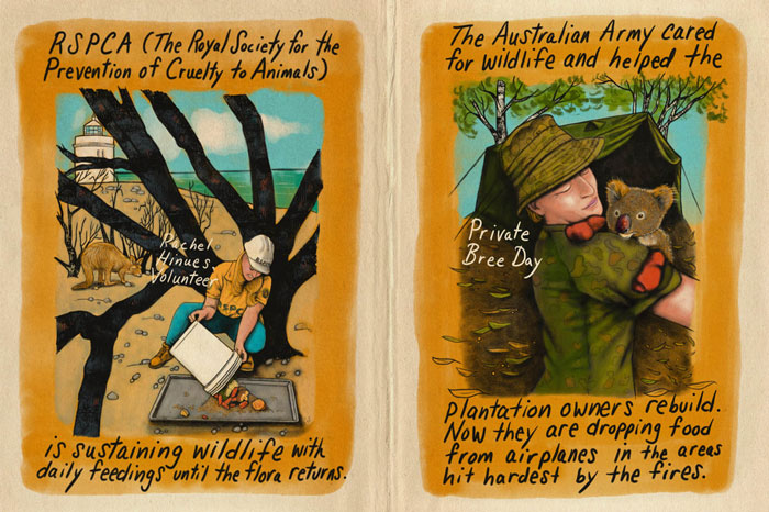 Artist Tells A Heart-Wrenching Story Of The '19-20 Australian Bushfires In 12 Sad But True Sketches Artist Tells A Heart-Wrenching Story Of The '19-20 Australian Bushfires In 12 Sad But True Sketches