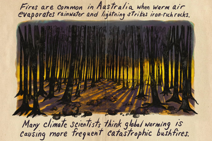 Artist Tells A Heart-Wrenching Story Of The '19-20 Australian Bushfires In 12 Sad But True Sketches Artist Tells A Heart-Wrenching Story Of The '19-20 Australian Bushfires In 12 Sad But True Sketches
