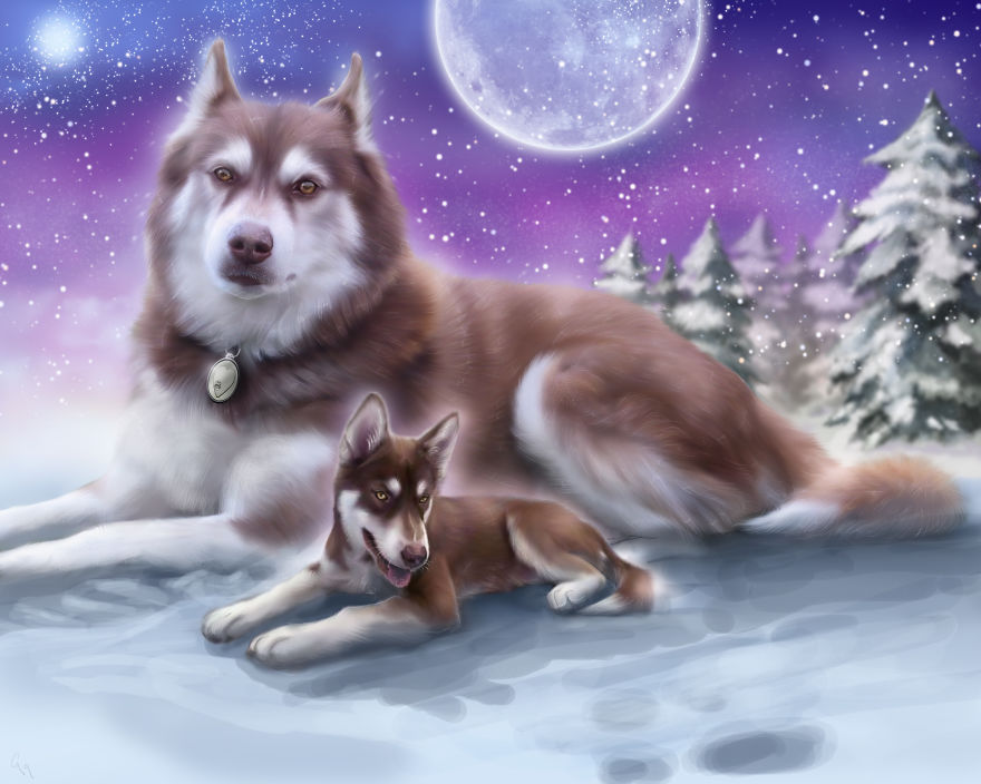 Memorial Portrait For A Good Looking Husky—the Color Of Fire And Ice. Shown Here With His Puppy Self