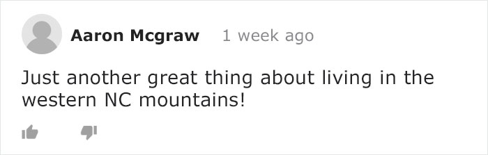 Mama Bear Takes Her 5 Adorable Cubs To Play In A Children's Playground Mama Bear Takes Her 5 Adorable Cubs To Play In A Children's Playground