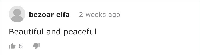 Mama Bear Takes Her 5 Adorable Cubs To Play In A Children's Playground Mama Bear Takes Her 5 Adorable Cubs To Play In A Children's Playground