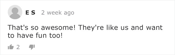 Mama Bear Takes Her 5 Adorable Cubs To Play In A Children's Playground Mama Bear Takes Her 5 Adorable Cubs To Play In A Children's Playground