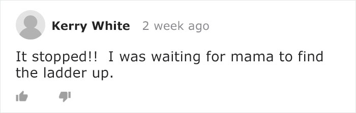 Mama Bear Takes Her 5 Adorable Cubs To Play In A Children's Playground Mama Bear Takes Her 5 Adorable Cubs To Play In A Children's Playground
