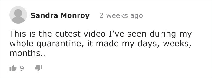 Mama Bear Takes Her 5 Adorable Cubs To Play In A Children's Playground Mama Bear Takes Her 5 Adorable Cubs To Play In A Children's Playground