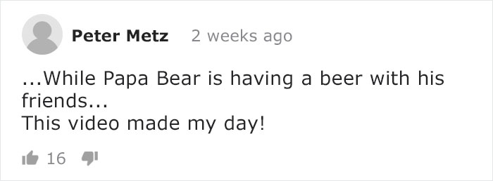 Mama Bear Takes Her 5 Adorable Cubs To Play In A Children's Playground Mama Bear Takes Her 5 Adorable Cubs To Play In A Children's Playground