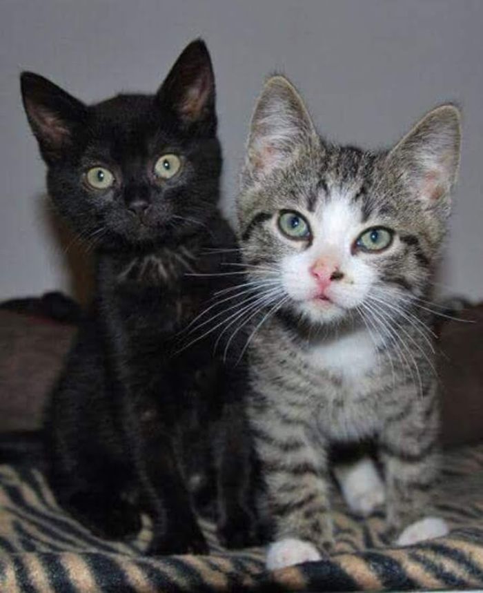 The First Foto Of My Sweeties