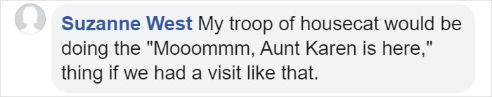 Woman Records A Bobcat Family Having A Blast On Her Front Porch