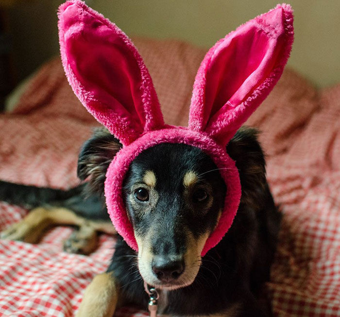 It's Too Hard To Choose The Cutest Picture From All Of Them, But This One Is Between My Top 10