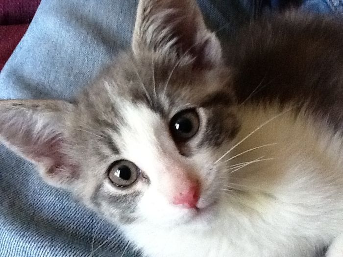 This Is Bunny. She Loves You!