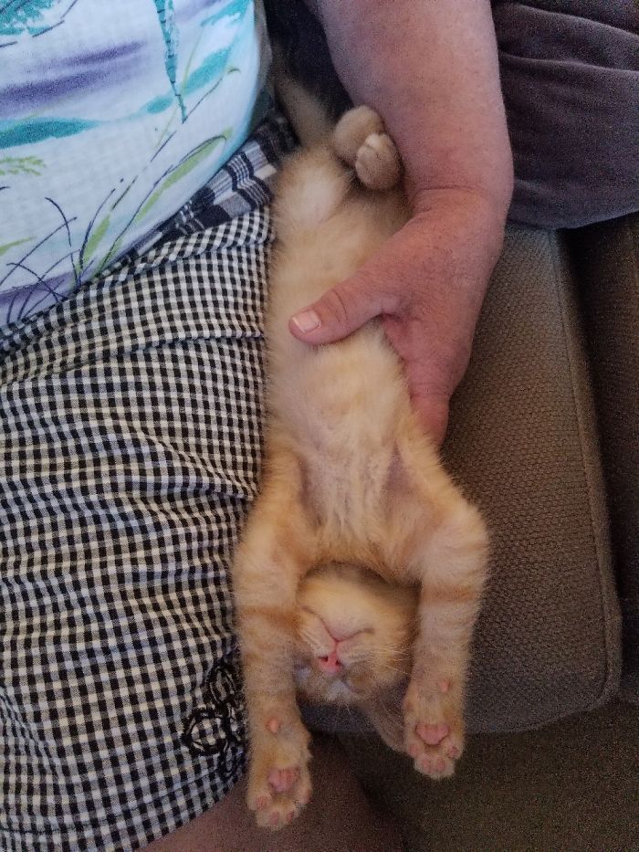 Teddy Sooooo Tired And Long