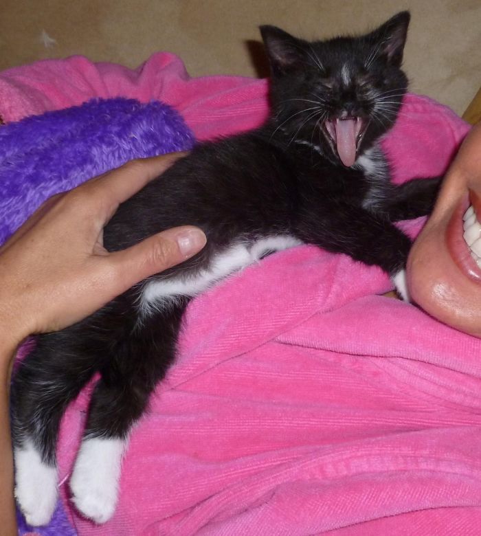 A Very Tired Blickle After Her First Day At Her Forever Home....