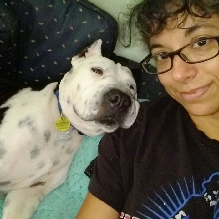 Abandoned On The Streets With A Botched Ear Job. She Is Now My Lil Princess 😍& Spoiled ☺️