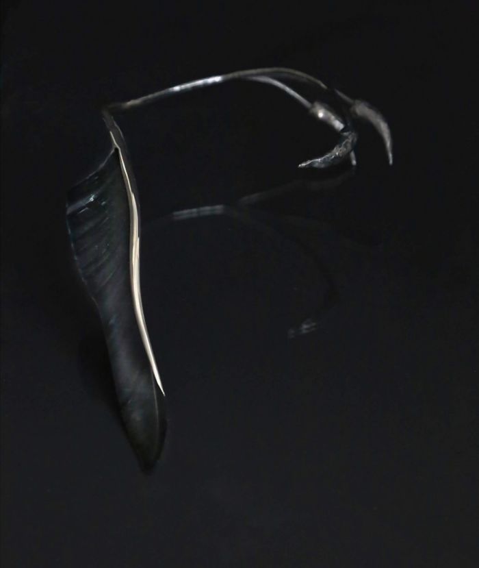 Made A Necklace As My Final Work In School. Called The Raven, With Feather And Silver Claws