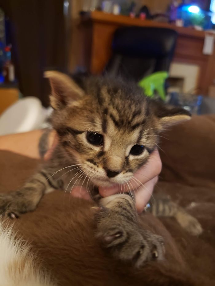 Baby Muffin, Almost A Year Ago Now!