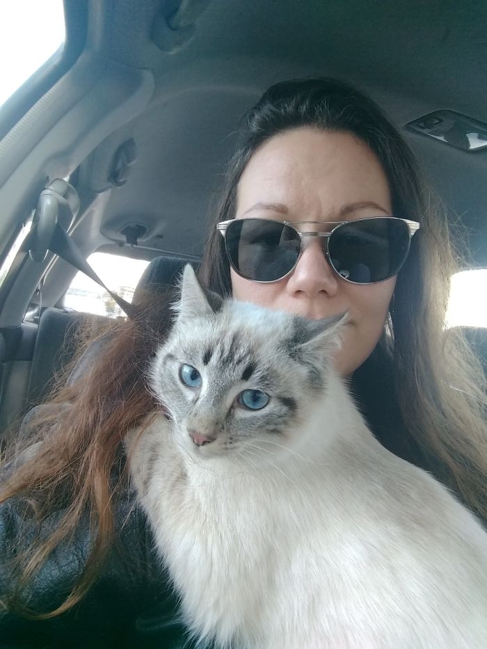 I Grabbed Up This Guy From A Farm And Said "I Want This One." Saved Him From Being A Target...