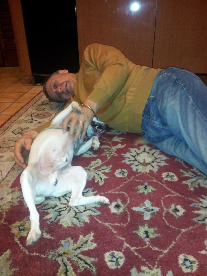 Christmas Eve, First Meet And Greet