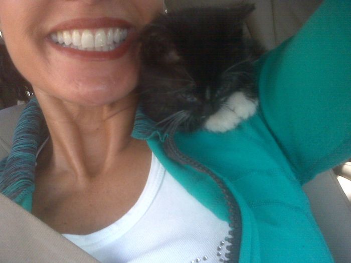 Blickle Nestled Like This All The Way Home From Her Foster Family To Her Forever Family.