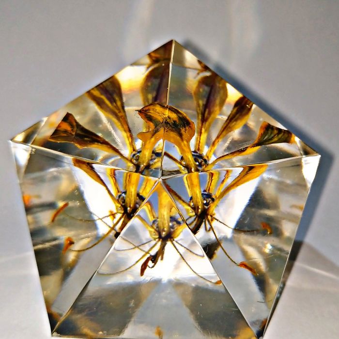 Flame Lily Inside Resin