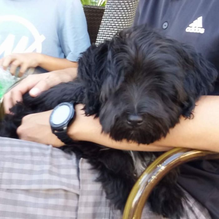 Our Little June That We Bought In.. June