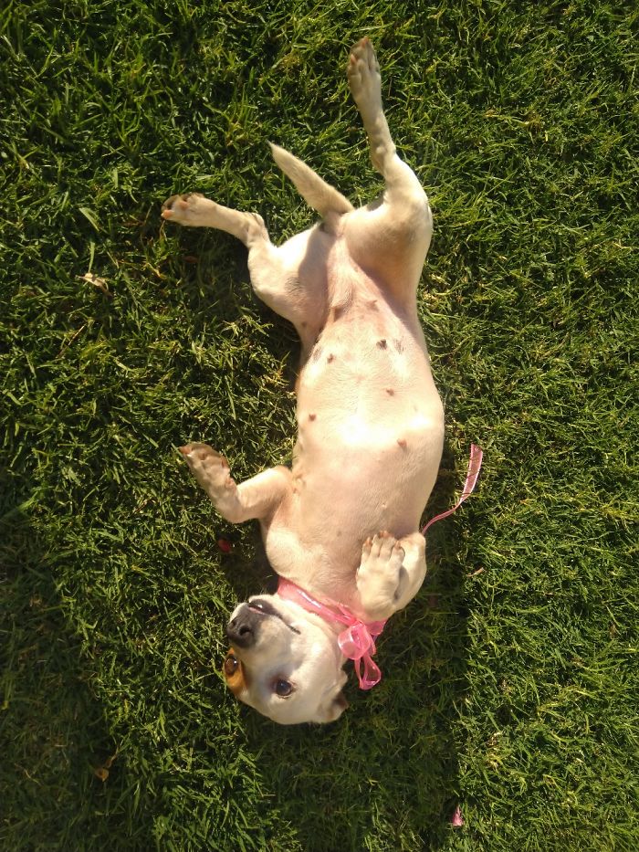 My Little Angel Still 5 Years And Still Striking Bomb Poses ✨