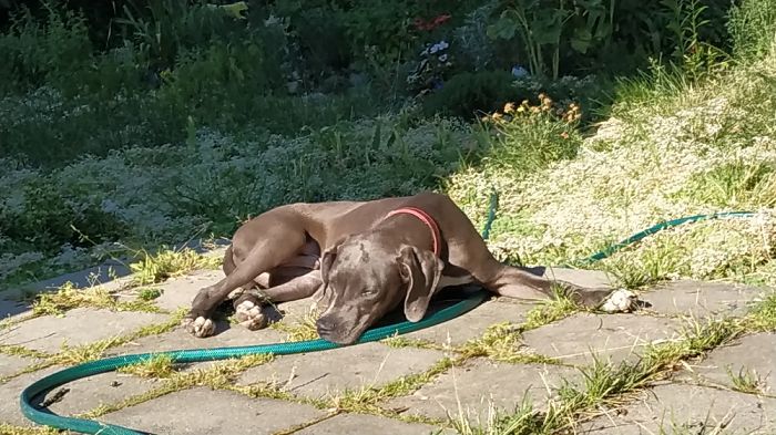 "This Is The End! First Day With This Strange Guy And A Snake..."