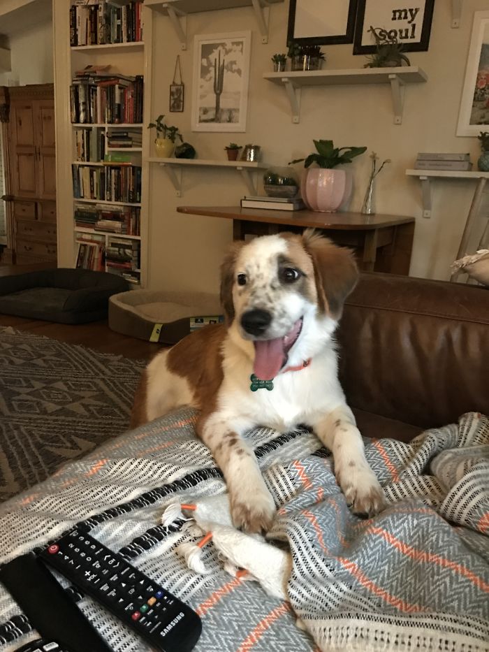 Our Baby On The Day We Adopted Her. I Think She's Happy To Be Here!