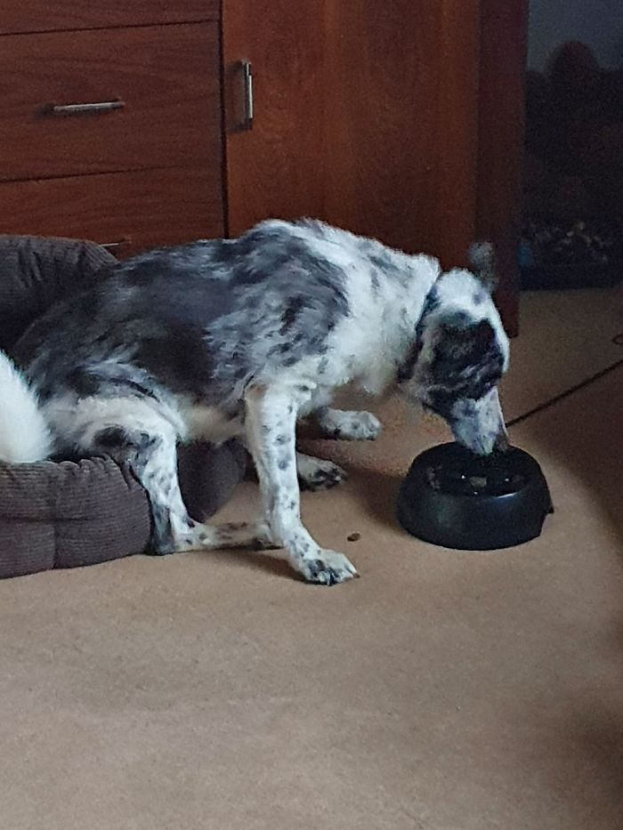 No Steps Needed, Just A Casual Sunday Morning Breakfast In/On Bed