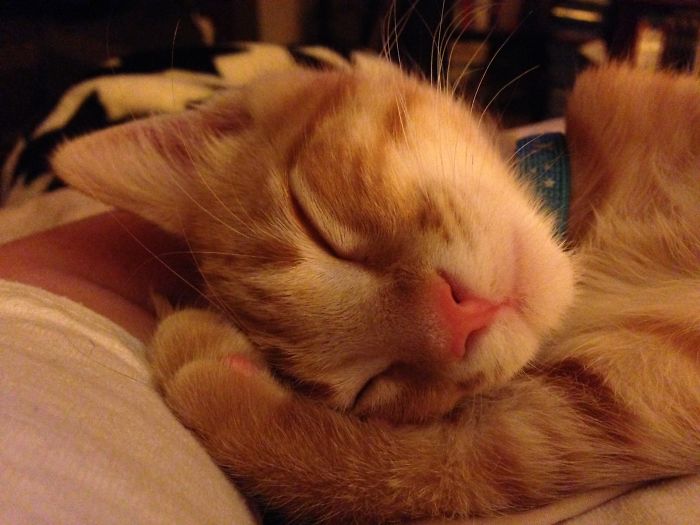 Calvin Is As Cute As They Come!