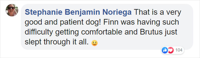 Camera Captures Adorable Moment Little Boy Sneaks Out Of His Bed To Sleep With His Dog