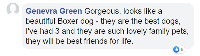 Camera Captures Adorable Moment Little Boy Sneaks Out Of His Bed To Sleep With His Dog