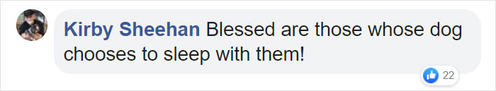 Camera Captures Adorable Moment Little Boy Sneaks Out Of His Bed To Sleep With His Dog Camera Captures Adorable Moment Little Boy Sneaks Out Of His Bed To Sleep With His Dog