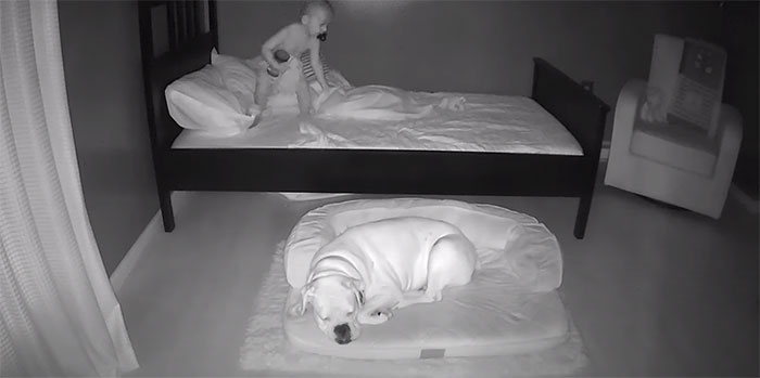 Camera Captures Adorable Moment Little Boy Sneaks Out Of His Bed To Sleep With His Dog Camera Captures Adorable Moment Little Boy Sneaks Out Of His Bed To Sleep With His Dog