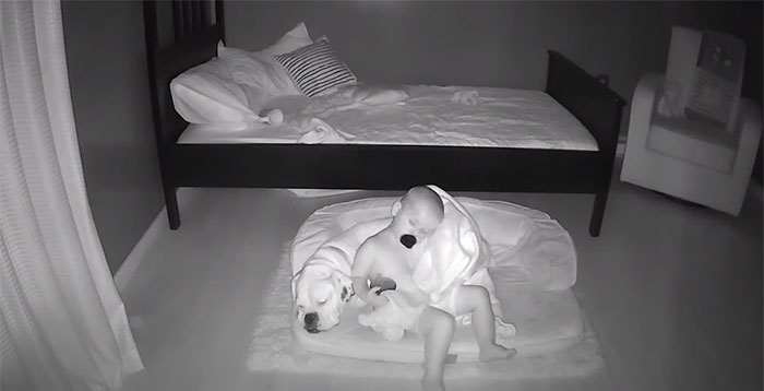 Camera Captures Adorable Moment Little Boy Sneaks Out Of His Bed To Sleep With His Dog Camera Captures Adorable Moment Little Boy Sneaks Out Of His Bed To Sleep With His Dog