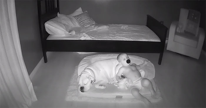 Camera Captures Adorable Moment Little Boy Sneaks Out Of His Bed To Sleep With His Dog Camera Captures Adorable Moment Little Boy Sneaks Out Of His Bed To Sleep With His Dog