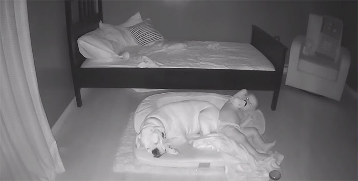 Camera Captures Adorable Moment Little Boy Sneaks Out Of His Bed To Sleep With His Dog Camera Captures Adorable Moment Little Boy Sneaks Out Of His Bed To Sleep With His Dog