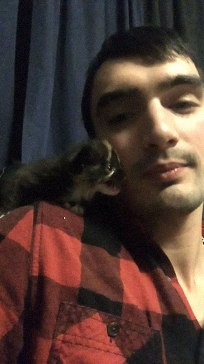 My Princess Midna The Day I Rescued Her From My Backyard 🥰