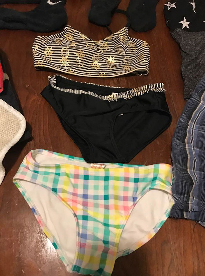 Woman Learns Her Cat Has Been Stealing Neighbors' Laundry, Asks People To Identify Their Things And Shame The Cat