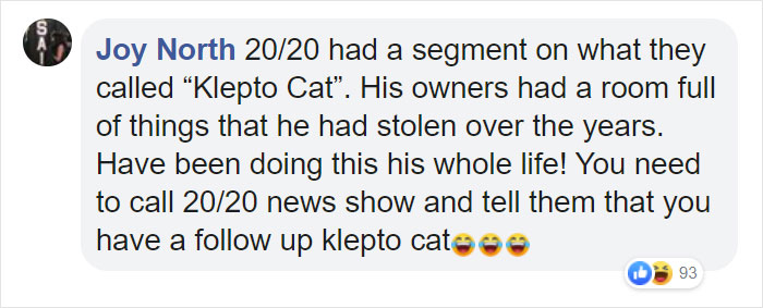 Woman Learns Her Cat Has Been Stealing Neighbors' Laundry, Asks People To Identify Their Things And Shame The Cat