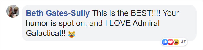 Woman Learns Her Cat Has Been Stealing Neighbors' Laundry, Asks People To Identify Their Things And Shame The Cat