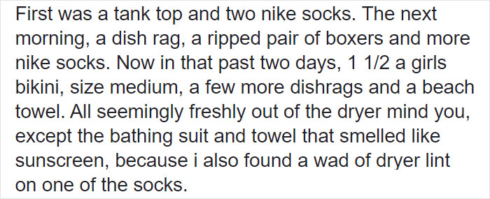 Woman Learns Her Cat Has Been Stealing Neighbors' Laundry, Asks People To Identify Their Things And Shame The Cat